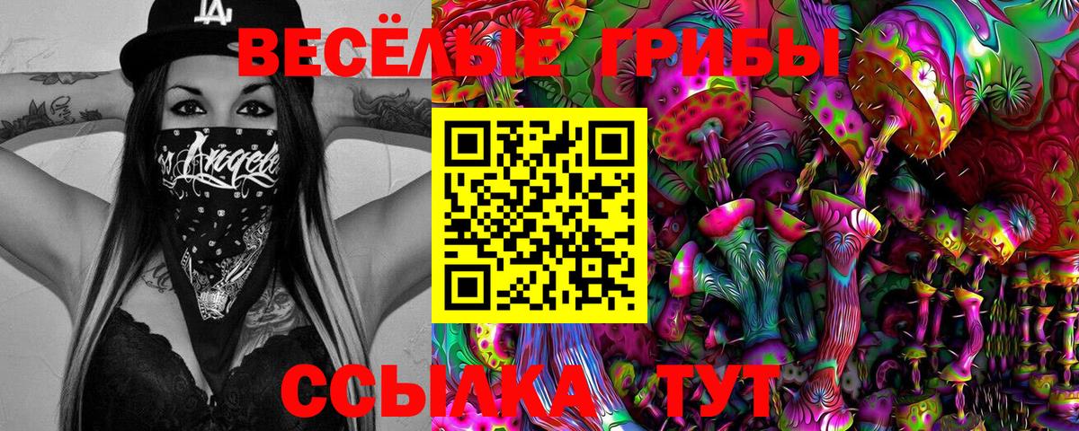 Галлюциногенные грибы Psilocybe  магазин продажи   Улан-Удэ  Вход с VPN 