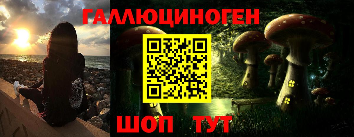 Галлюциногенные грибы мухоморы Улан-Удэ